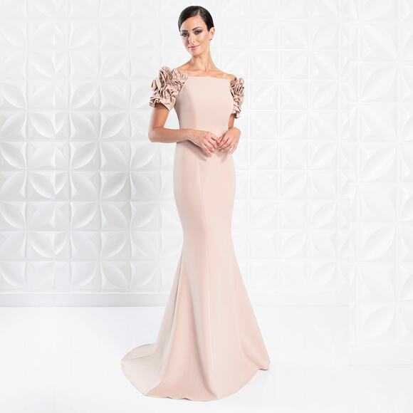 NEW Alexander Daymor Gown Tan Embellished Bateau Trumpet Maxi Dress Size 10 - Picture 1 of 9
